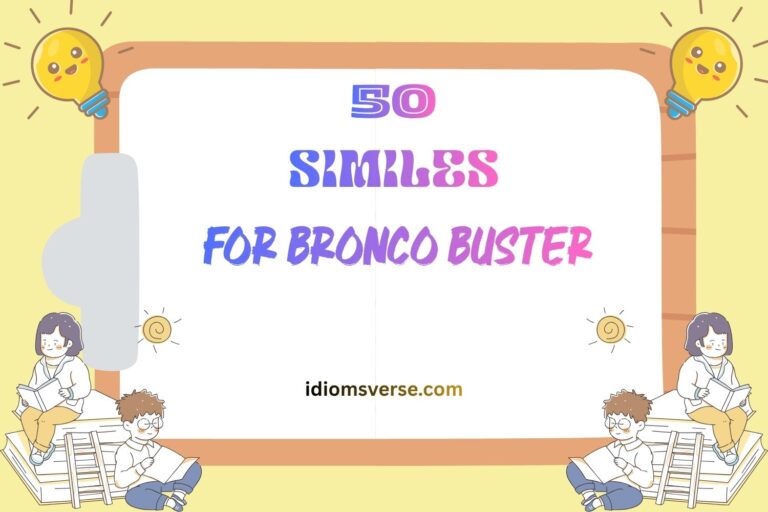 similes for bronco buster